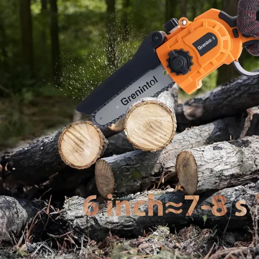 81-rPqmpmHL._AC_SL1500_