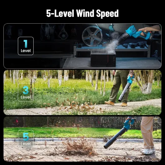 91AaLPgbLVL._AC_SL1500_