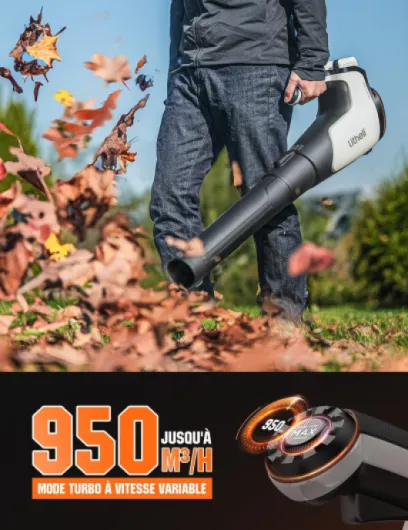 71OGQt2gZlL._AC_SL1300_