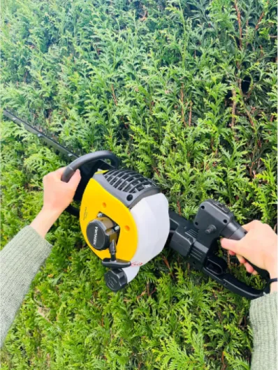 A1mdpNTH0JL._AC_SL1500_