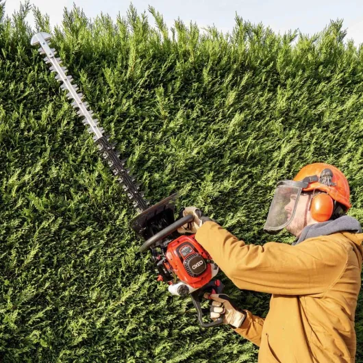 81mV6vBKtXL._AC_SL1000_