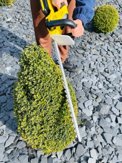 91IvHlxNDjL._AC_SL1500_