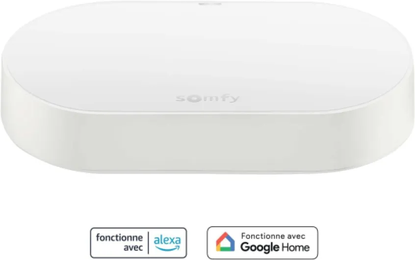 1870755 - Kit de connectivité - Pour contrôler les moteurs et l'éclairage Somfy avec un smartphone - Compatible moteurs io & RTS- Contrôle à la voix via l'Assistant Google, Amazon Alexa, HomeKit