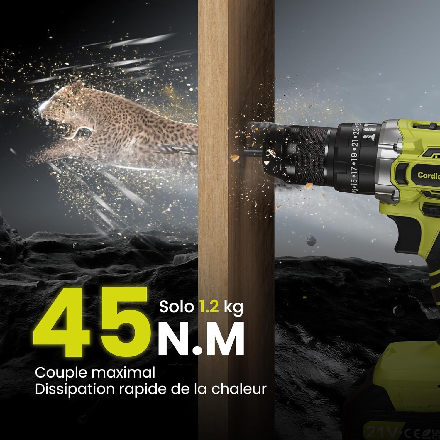 21V Perceuse Visseuse Sans Fil, 45Nm Perceuse Percussion Sans Fil, Visseuse Devisseuse avec 2 Batteries 2.0Ah, 25+3 Couple Réglages, 10mm Métal Mandrin Verrouillage, 2 Vitesses, 27 Accessoires Green