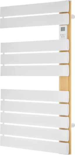 41jizlxwiOL._AC_SL1000_