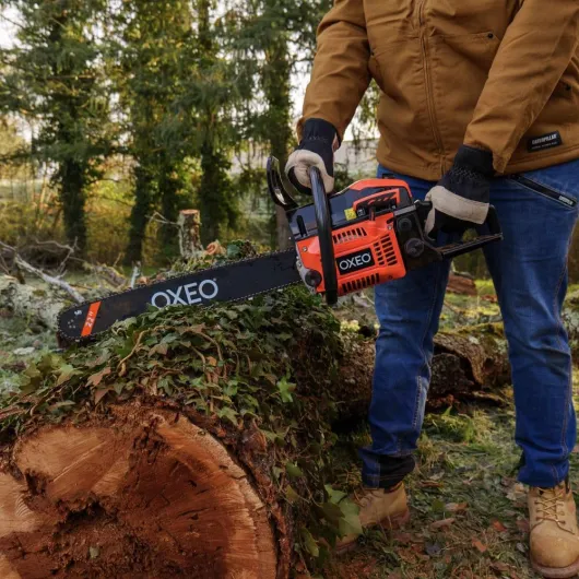 71bXuoeMtlL._AC_SL1000_