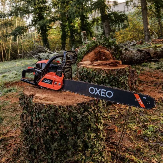 71u1e50CxXL._AC_SL1000_