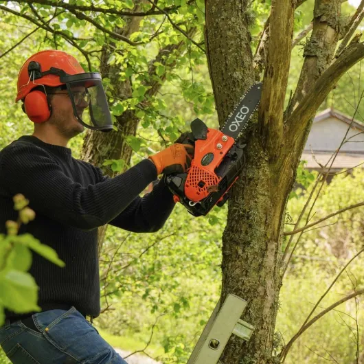 71 UrkbF-TL._AC_SL1000_