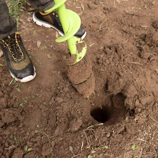 71-V4oobw6L._AC_SL1000_