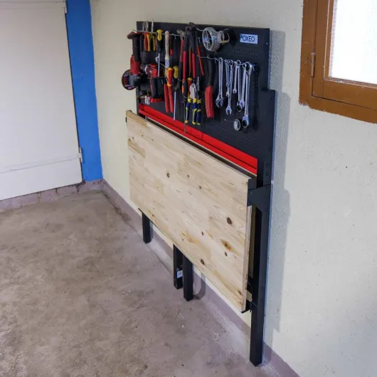 61Qni ARYOL._AC_SL1000_