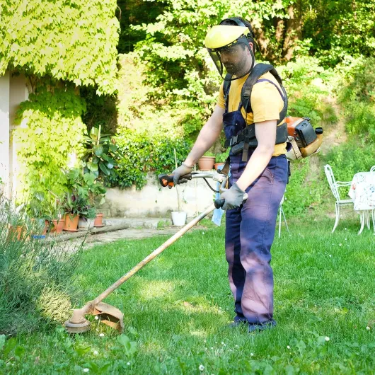 91G9IQHDAvL._AC_SL1500_