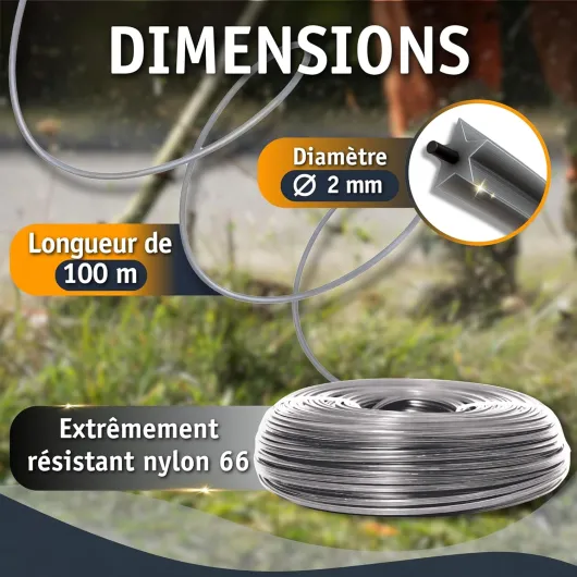 81POOZjkkzL._AC_SL1500_