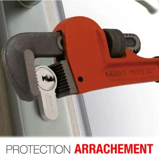 61kuCyKuh1L._AC_SL1422_