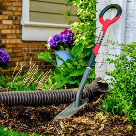 71PRKOEw8kL._AC_SL1200_