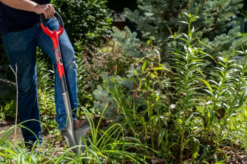 Radius Garden 22011 Root Slayer Bêche à Transplanter avec Coupe-Racines Produit d'origine - Root Slayer