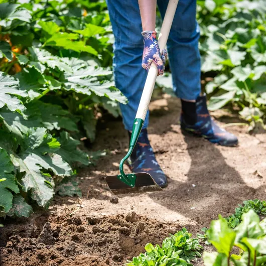 91IhuuR9aRL._AC_SL1500_