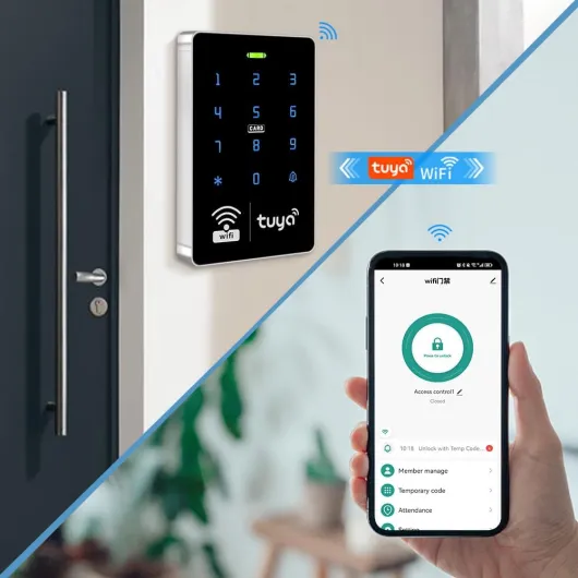 61ijcy1BqZL._AC_SL1000_