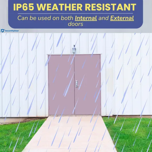 817dvfo5KAL._AC_SL1500_