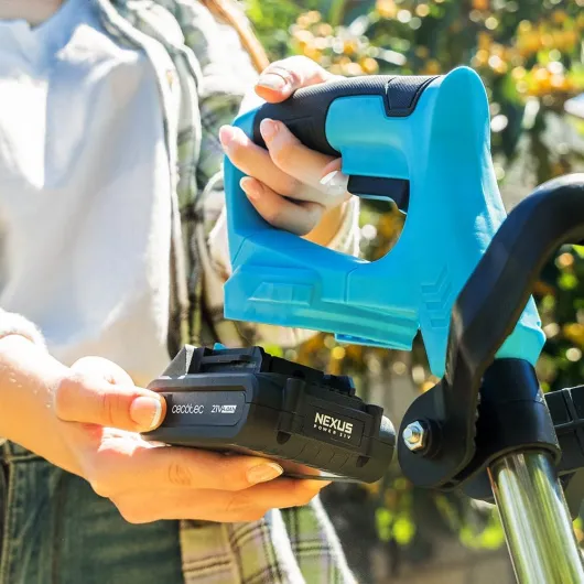 610Frg3ivpL._AC_SL1000_