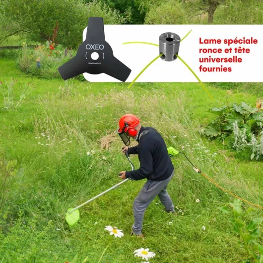 71YtIV8ZRnL._AC_SL1000_