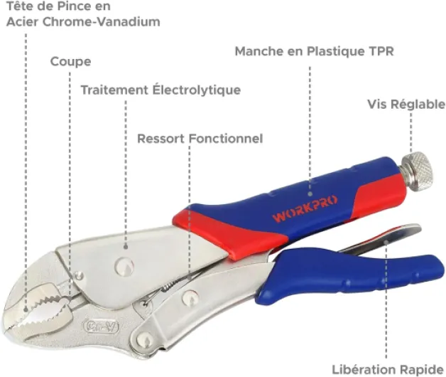71KO  Rpo9L._AC_SL1500_