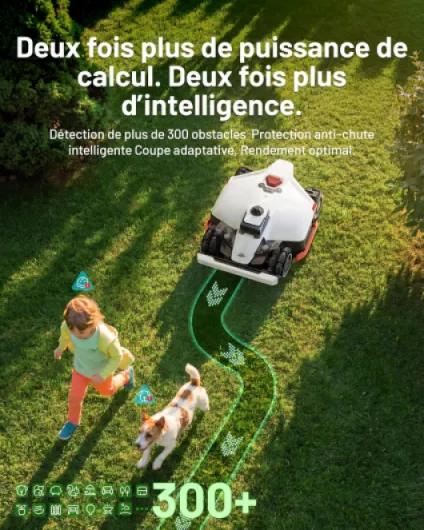 91ULPfJVmsL._AC_SL1500_