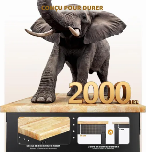81zUzzdZiNL._AC_SL1500_